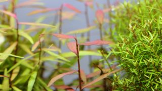 Thumbnail of post image 017